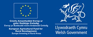 Logo Llywodraeth Cymru